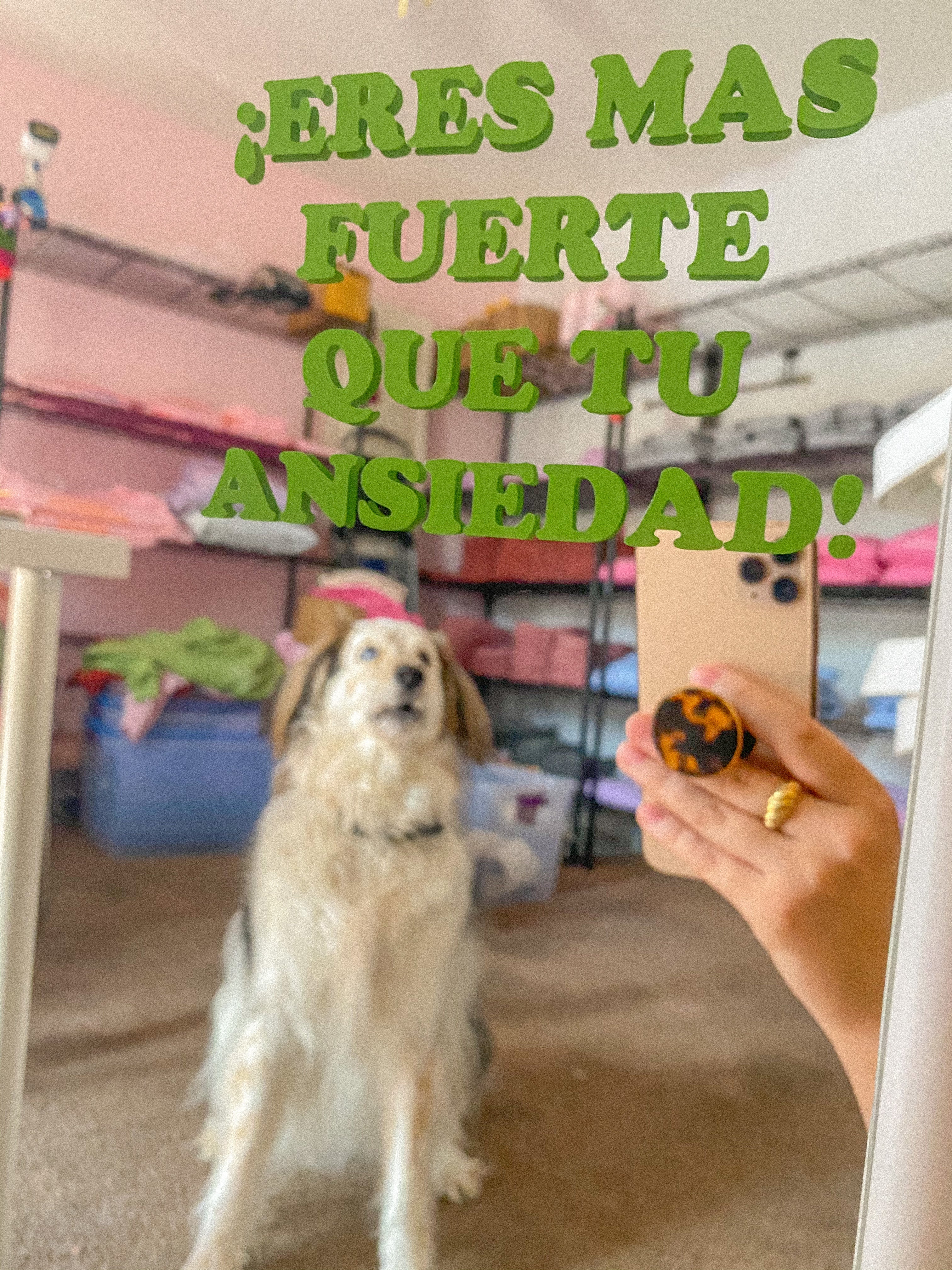 Fuerte Decal